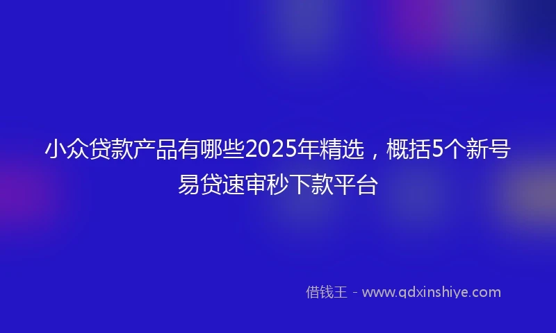 小众贷款产品有哪些2025年精选，概括5个新号易贷速审秒下款平台