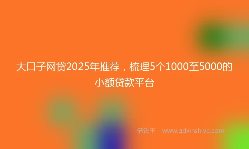大口子网贷2025年推荐，梳理5个1000至5000的小额贷款平台