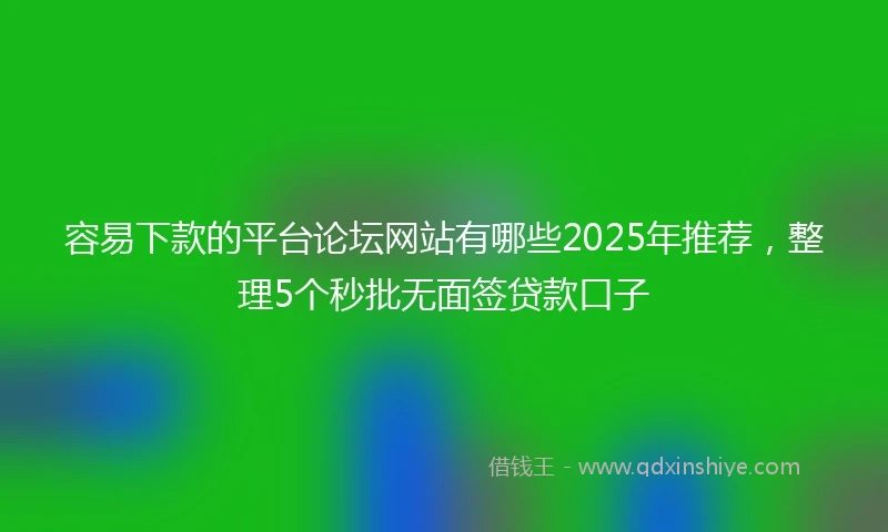 容易下款的平台论坛网站有哪些2025年推荐，整理5个秒批无面签贷款口子