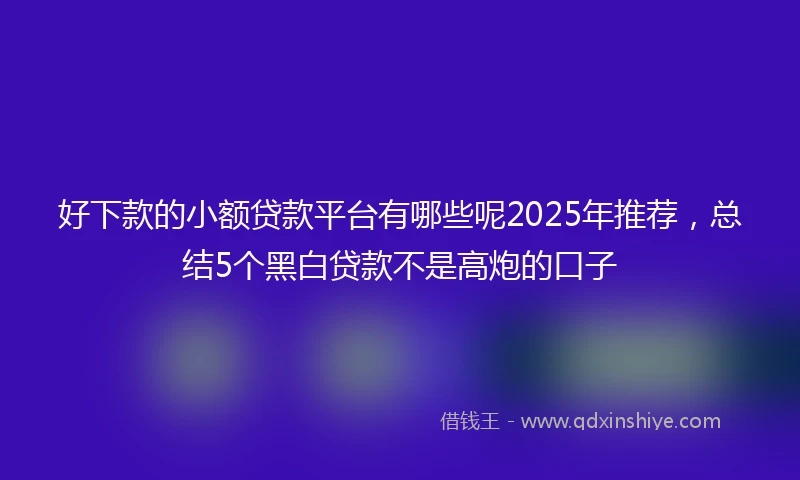 好下款的小额贷款平台有哪些呢2025年推荐，总结5个黑白贷款不是高炮的口子