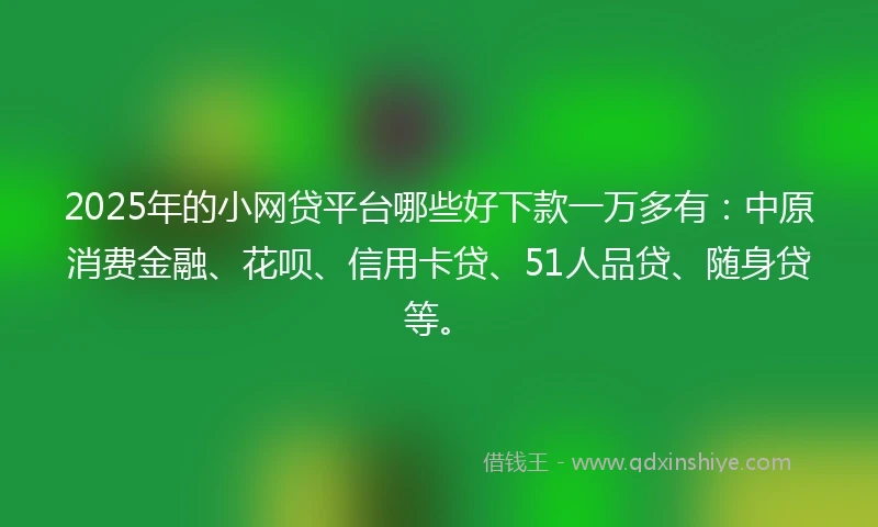 2025年的小网贷平台哪些好下款一万多有：中原消费金融、花呗、信用卡贷、51人品贷、随身贷等。