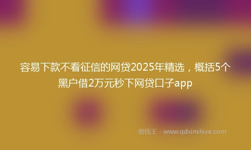 容易下款不看征信的网贷2025年精选，概括5个黑户借2万元秒下网贷口子app