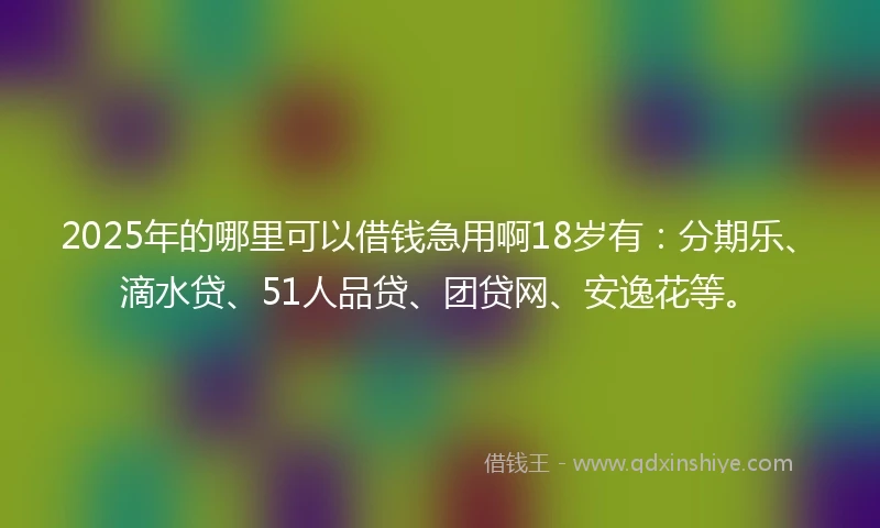 2025年的哪里可以借钱急用啊18岁有：分期乐、滴水贷、51人品贷、团贷网、安逸花等。