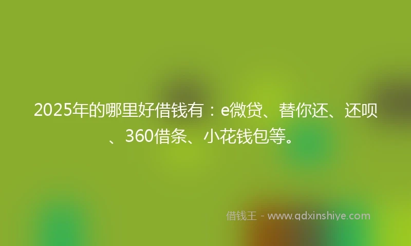 2025年的哪里好借钱有:e微贷、替你还、还呗、360借条、小花钱包等。