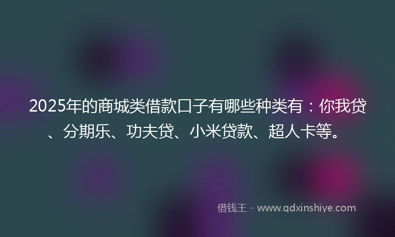 2025年的商城类借款口子有哪些种类有：你我贷、分期乐、功夫贷、小米贷款、超人卡等。