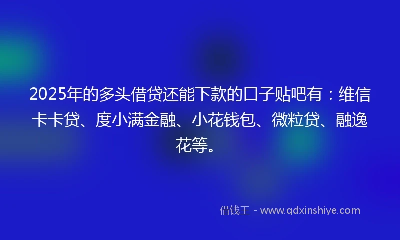 2025年的多头借贷还能下款的口子贴吧有：维信卡卡贷、度小满金融、小花钱包、微粒贷、融逸花等。