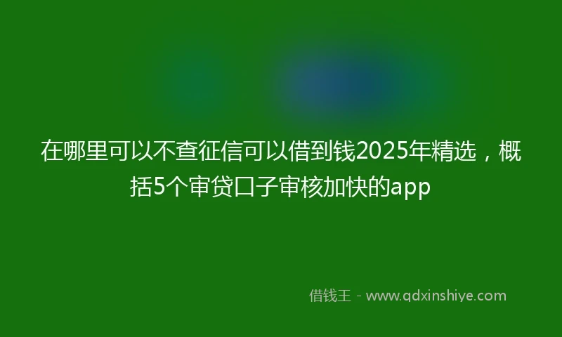 在哪里可以不查征信可以借到钱2025年精选，概括5个审贷口子审核加快的app