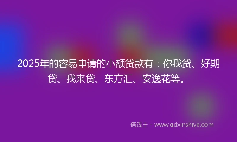 2025年的容易申请的小额贷款有：你我贷、好期贷、我来贷、东方汇、安逸花等。