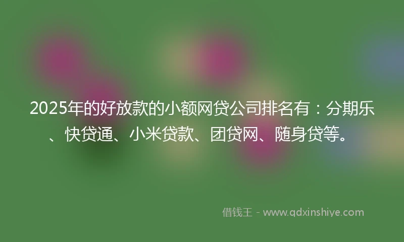 2025年的好放款的小额网贷公司排名有：分期乐、快贷通、小米贷款、团贷网、随身贷等。