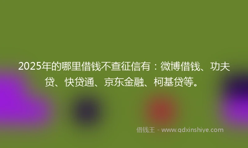 2025年的哪里借钱不查征信有：微博借钱、功夫贷、快贷通、京东金融、柯基贷等。