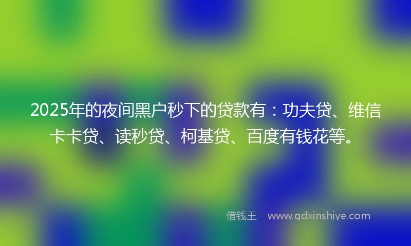 2025年的夜间黑户秒下的贷款有：功夫贷、维信卡卡贷、读秒贷、柯基贷、百度有钱花等。