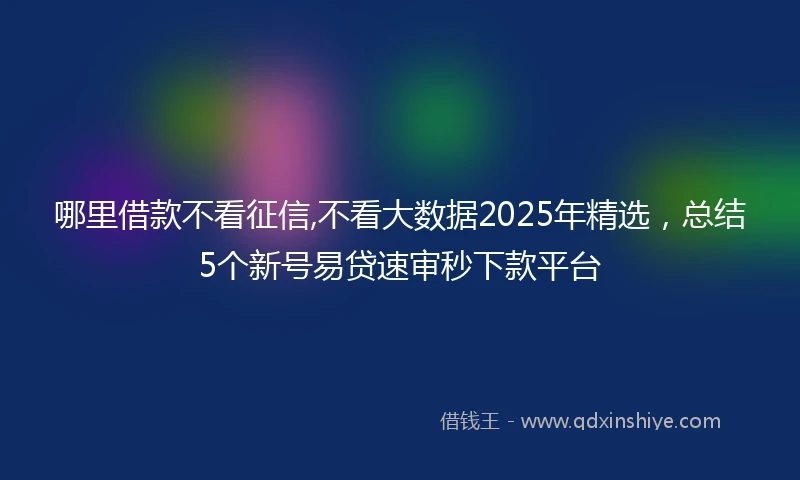 哪里借款不看征信,不看大数据2025年精选，总结5个新号易贷速审秒下款平台
