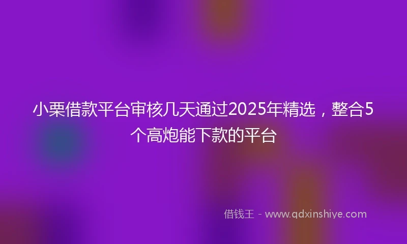小栗借款平台审核几天通过2025年精选，整合5个高炮能下款的平台