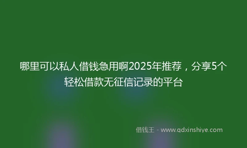 哪里可以私人借钱急用啊2025年推荐，分享5个轻松借款无征信记录的平台