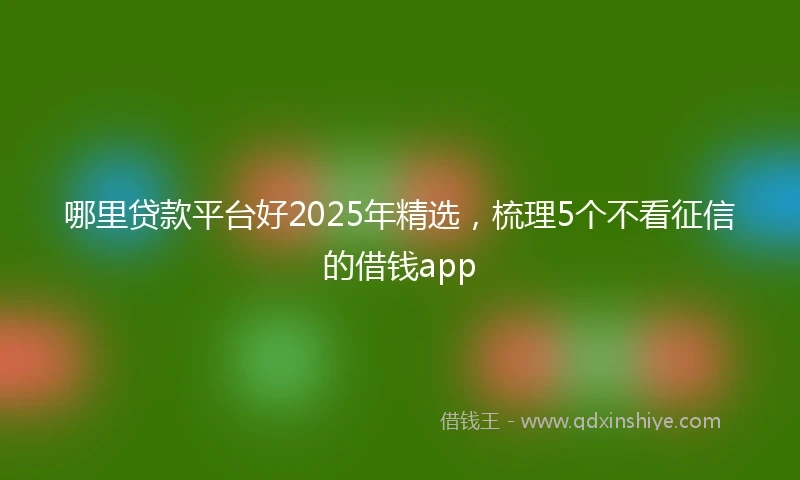 哪里贷款平台好2025年精选，梳理5个不看征信的借钱app