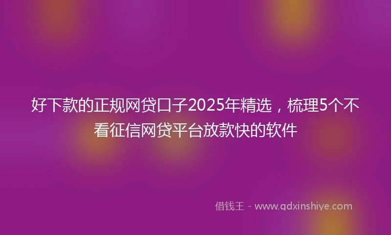 好下款的正规网贷口子2025年精选,梳理5个不看征信网贷平台放款快的软件