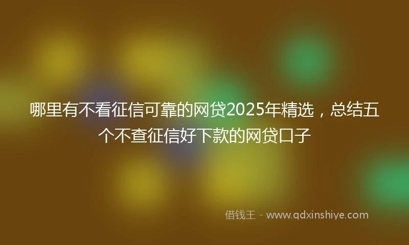 哪里有不看征信可靠的网贷2025年精选，总结五个不查征信好下款的网贷口子