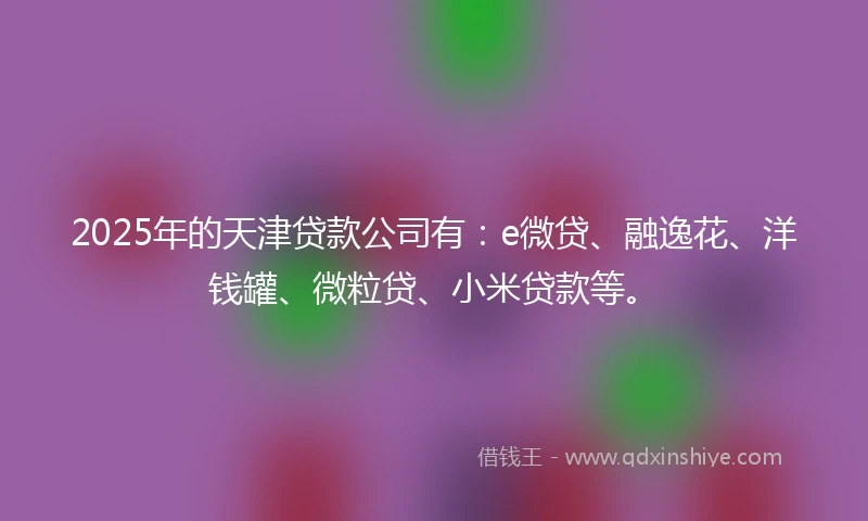 2025年的天津贷款公司有：e微贷、融逸花、洋钱罐、微粒贷、小米贷款等。