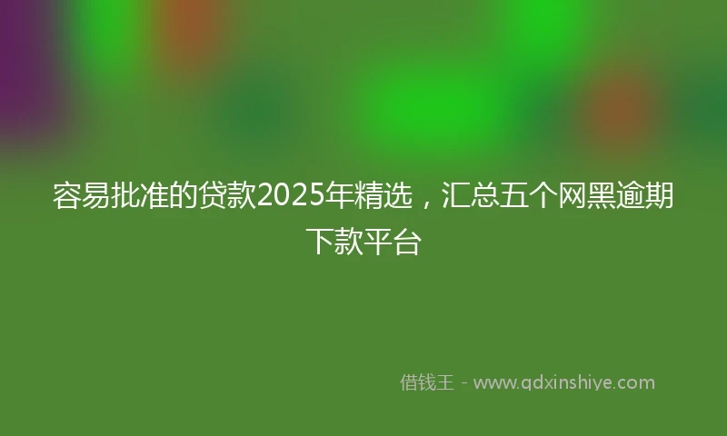 容易批准的贷款2025年精选，汇总五个网黑逾期下款平台
