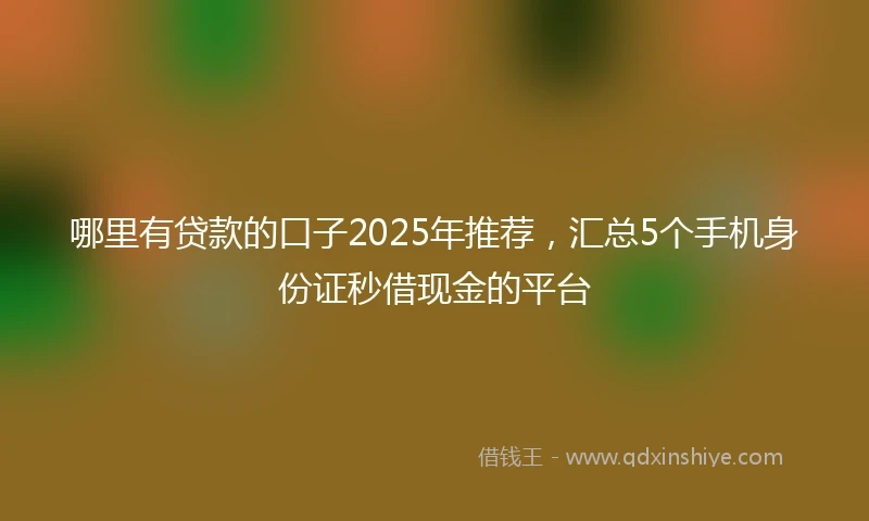 哪里有贷款的口子2025年推荐，汇总5个手机身份证秒借现金的平台