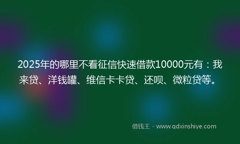 2025年的哪里不看征信快速借款10000元有：我来贷、洋钱罐、维信卡卡贷、还呗、微粒贷等。