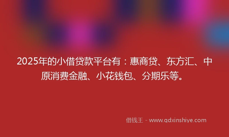 2025年的小借贷款平台有：惠商贷、东方汇、中原消费金融、小花钱包、分期乐等。