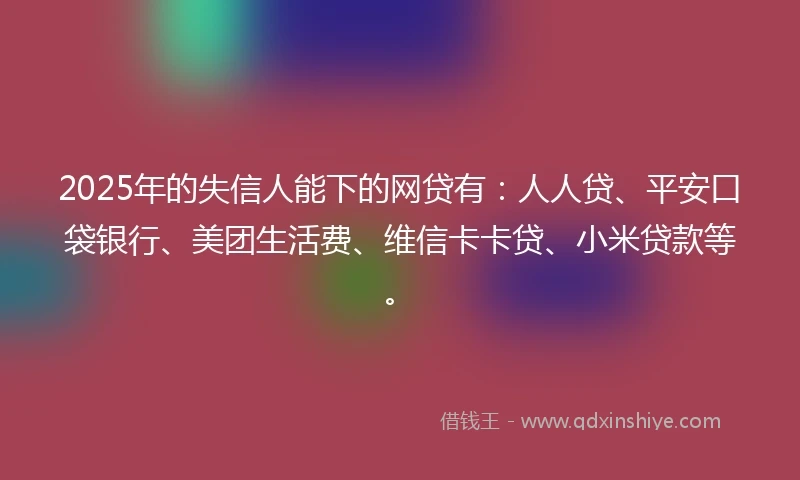 2025年的失信人能下的网贷有：人人贷、平安口袋银行、美团生活费、维信卡卡贷、小米贷款等。