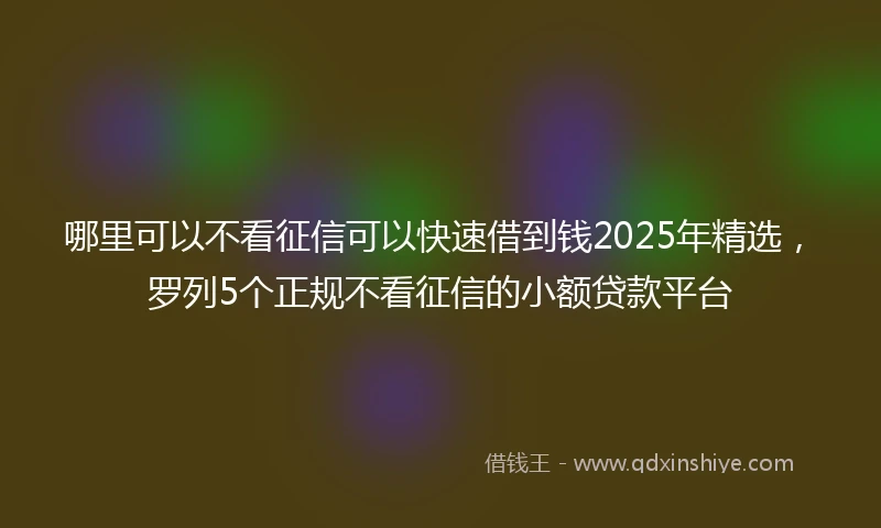 哪里可以不看征信可以快速借到钱2025年精选，罗列5个正规不看征信的小额贷款平台