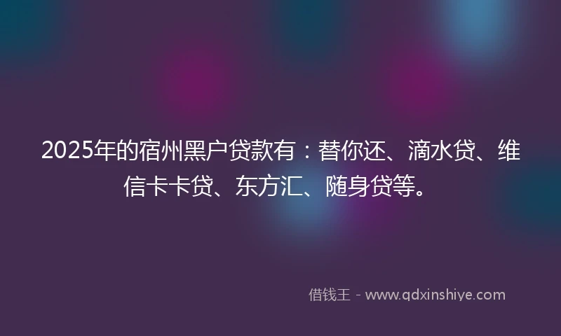 2025年的宿州黑户贷款有：替你还、滴水贷、维信卡卡贷、东方汇、随身贷等。