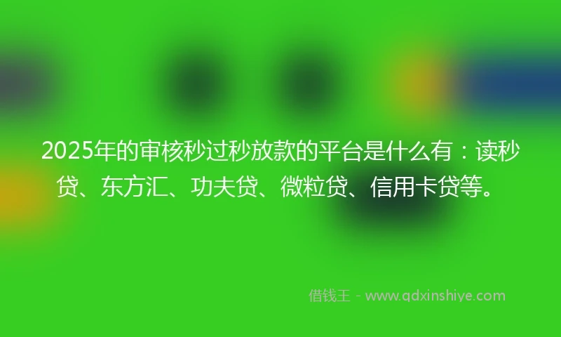 2025年的审核秒过秒放款的平台是什么有：读秒贷、东方汇、功夫贷、微粒贷、信用卡贷等。