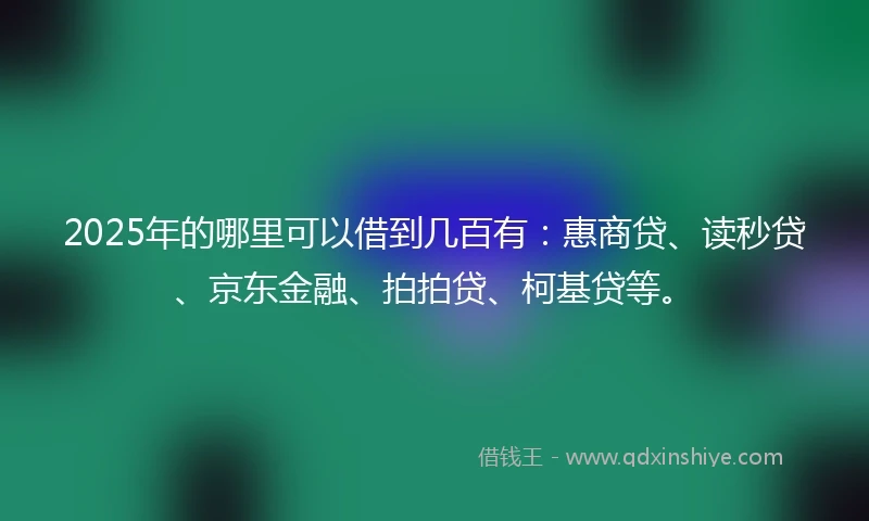 2025年的哪里可以借到几百有：惠商贷、读秒贷、京东金融、拍拍贷、柯基贷等。