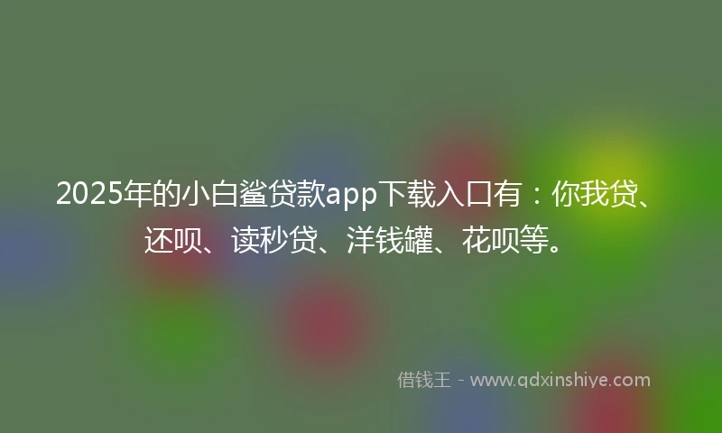 2025年的小白鲨贷款app下载入口有：你我贷、还呗、读秒贷、洋钱罐、花呗等。