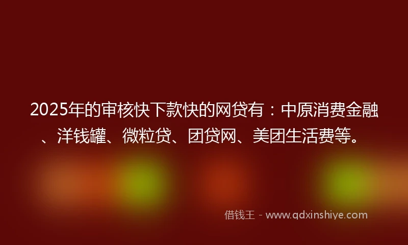 2025年的审核快下款快的网贷有：中原消费金融、洋钱罐、微粒贷、团贷网、美团生活费等。