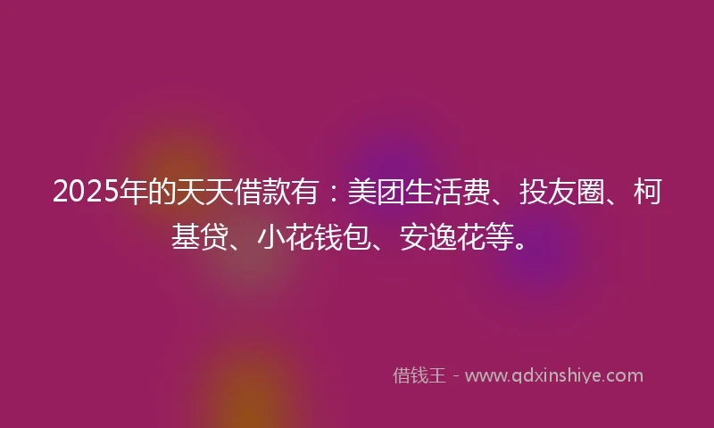 2025年的天天借款有：美团生活费、投友圈、柯基贷、小花钱包、安逸花等。
