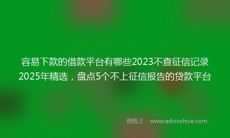 容易下款的借款平台有哪些2023不查征信记录2025年精选，盘点5个不上征信报告的贷款平台