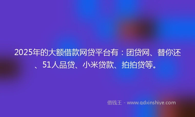 2025年的大额借款网贷平台有：团贷网、替你还、51人品贷、小米贷款、拍拍贷等。