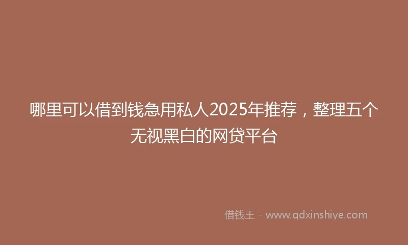 哪里可以借到钱急用私人2025年推荐，整理五个无视黑白的网贷平台