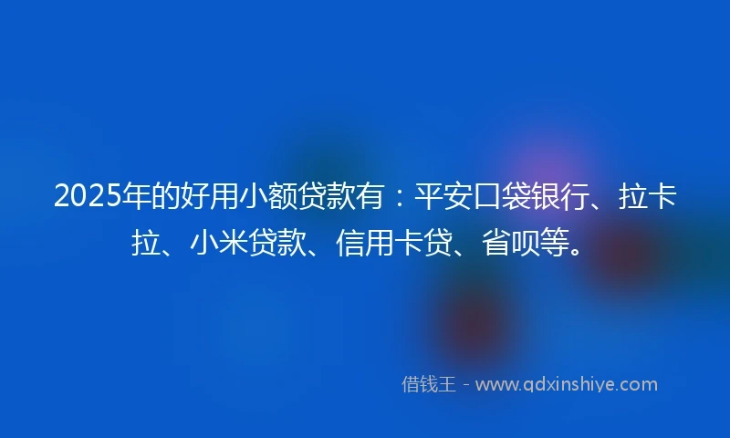 2025年的好用小额贷款有：平安口袋银行、拉卡拉、小米贷款、信用卡贷、省呗等。