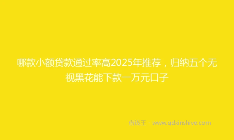 哪款小额贷款通过率高2025年推荐，归纳五个无视黑花能下款一万元口子
