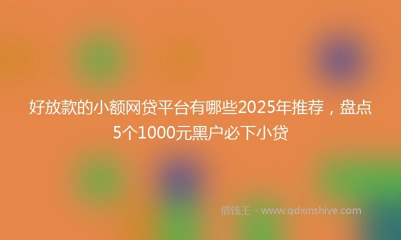 好放款的小额网贷平台有哪些2025年推荐，盘点5个1000元黑户必下小贷