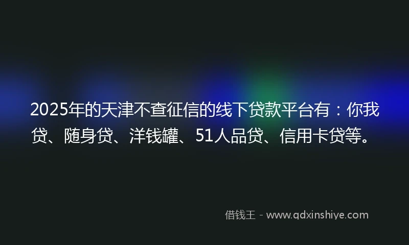 2025年的天津不查征信的线下贷款平台有：你我贷、随身贷、洋钱罐、51人品贷、信用卡贷等。
