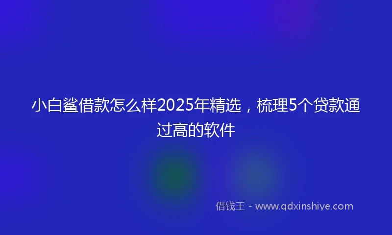 小白鲨借款怎么样2025年精选，梳理5个贷款通过高的软件