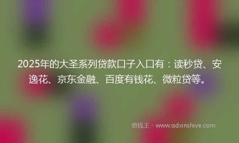 2025年的大圣系列贷款口子入口有：读秒贷、安逸花、京东金融、百度有钱花、微粒贷等。