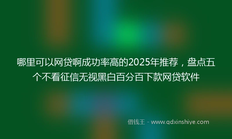 哪里可以网贷啊成功率高的2025年推荐，盘点五个不看征信无视黑白百分百下款网贷软件