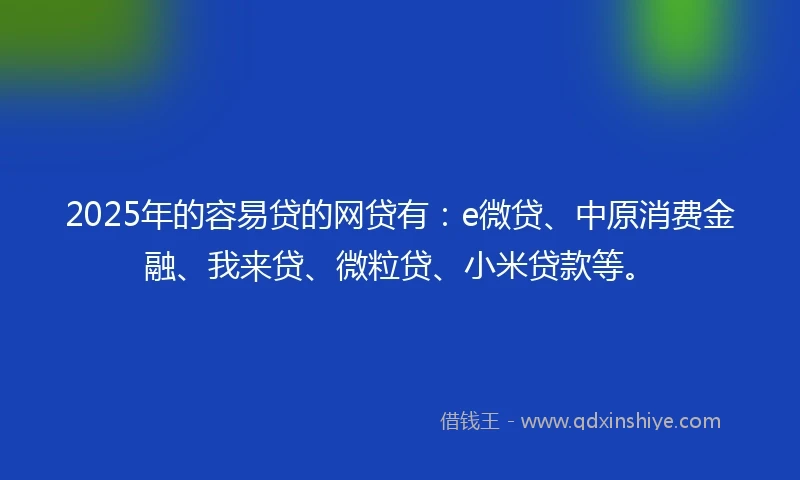 2025年的容易贷的网贷有：e微贷、中原消费金融、我来贷、微粒贷、小米贷款等。