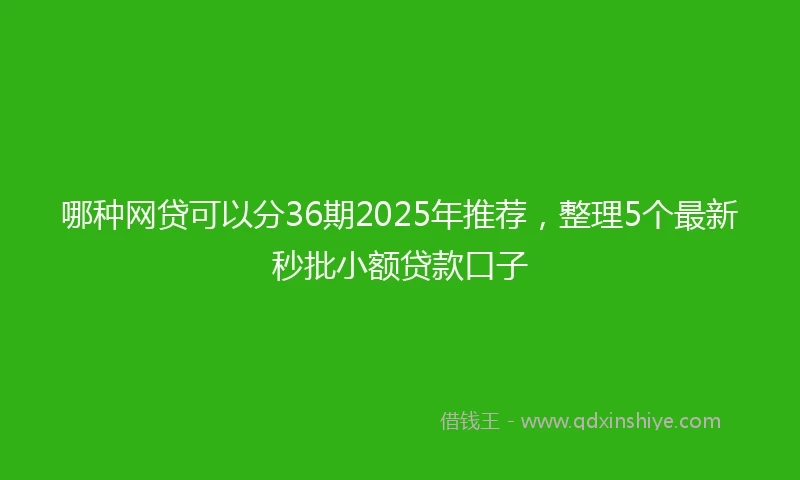 哪种网贷可以分36期2025年推荐，整理5个最新秒批小额贷款口子