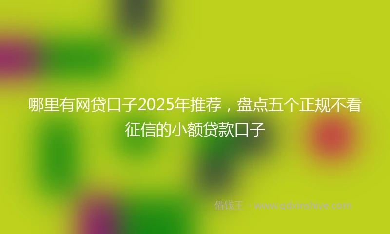 哪里有网贷口子2025年推荐，盘点五个正规不看征信的小额贷款口子