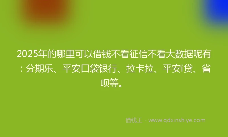 2025年的哪里可以借钱不看征信不看大数据呢有：分期乐、平安口袋银行、拉卡拉、平安i贷、省呗等。