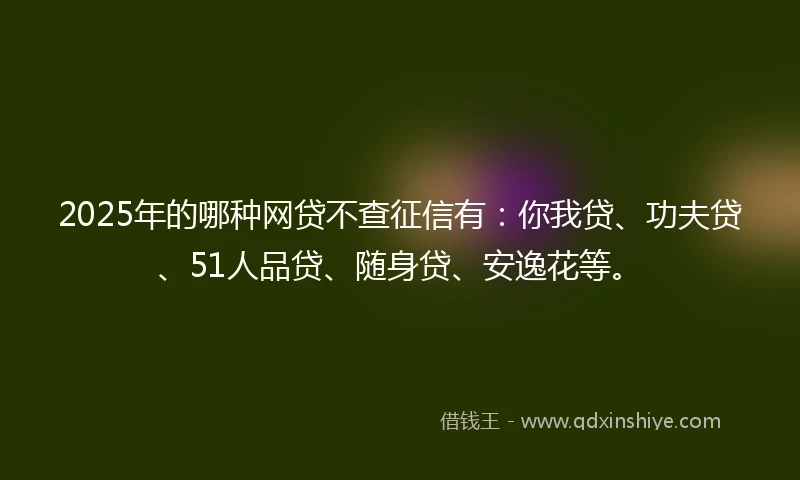 2025年的哪种网贷不查征信有：你我贷、功夫贷、51人品贷、随身贷、安逸花等。