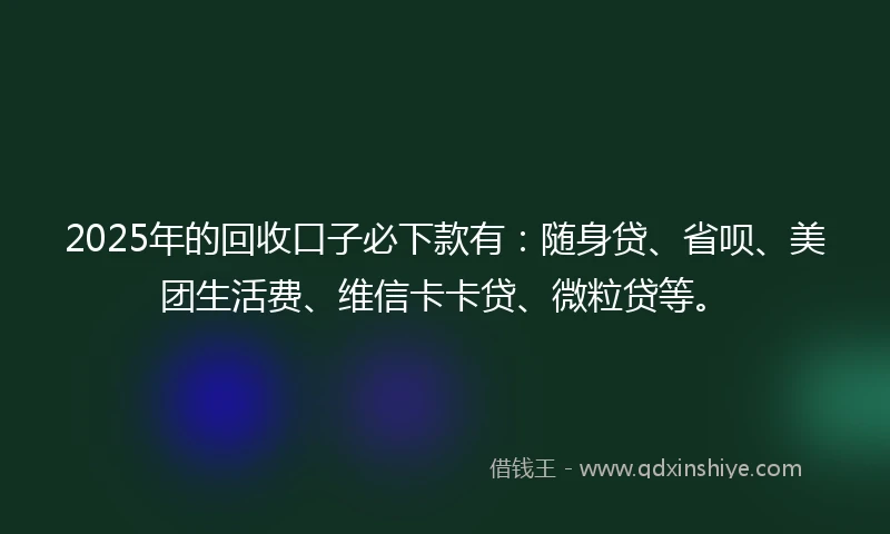 2025年的回收口子必下款有：随身贷、省呗、美团生活费、维信卡卡贷、微粒贷等。